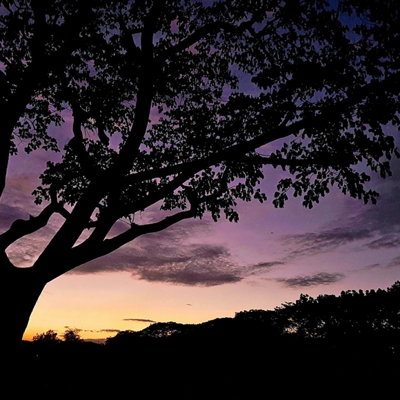 Meet your Posher, Paul simmoun - Picture 2 of 6